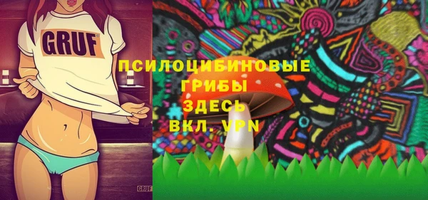 бошки Верхний Тагил