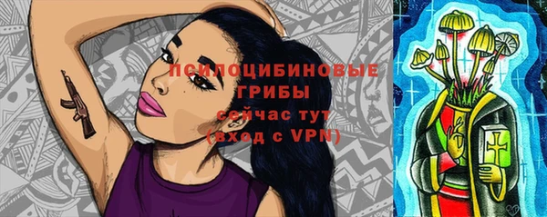 соль курить ск Верея