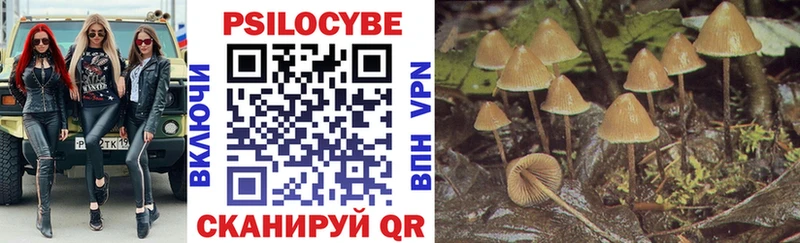 Псилоцибиновые грибы Psilocybe  Клин 